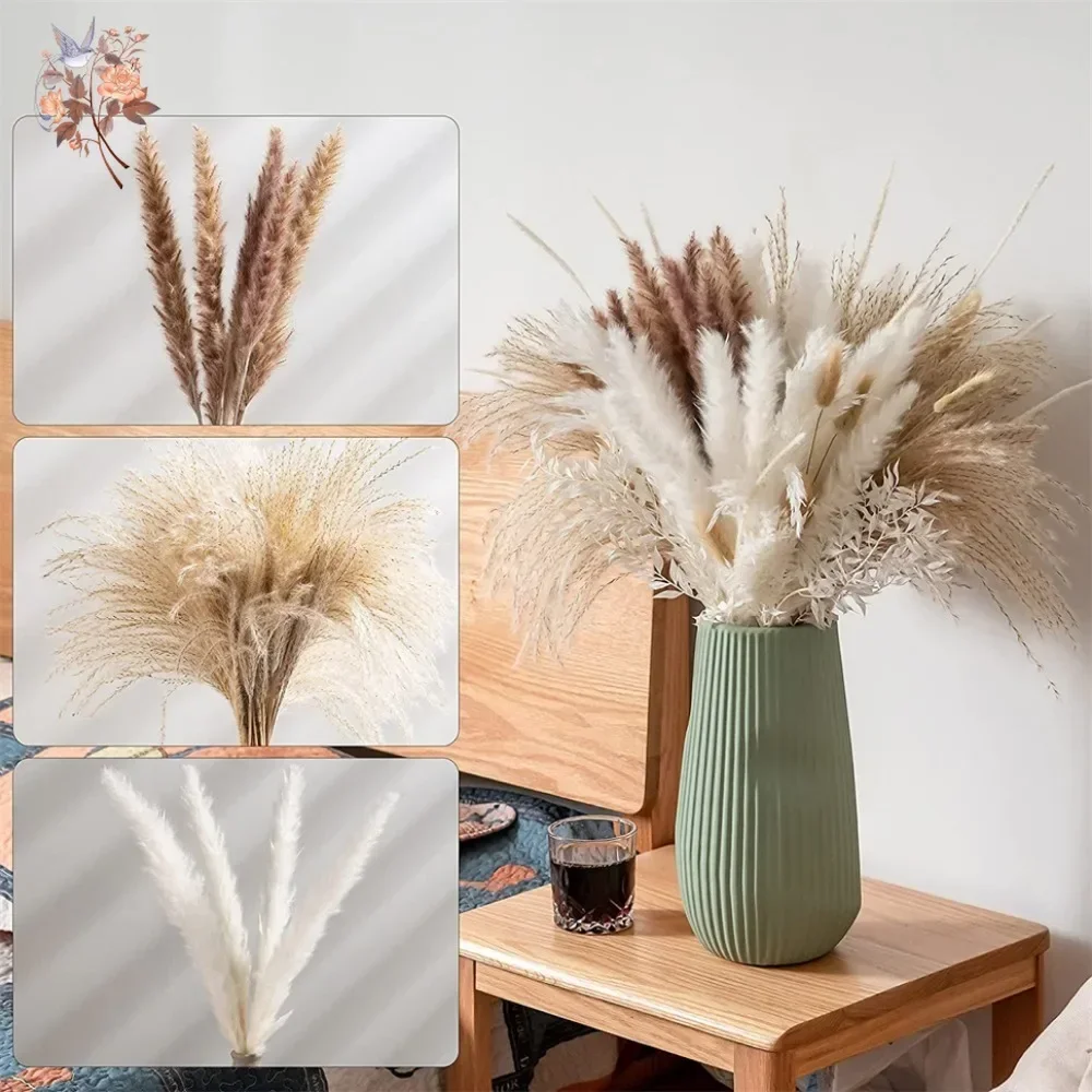 88 قطعة من عشب البامباس الطبيع - مراجعة Pampas Grass Decor وسعره