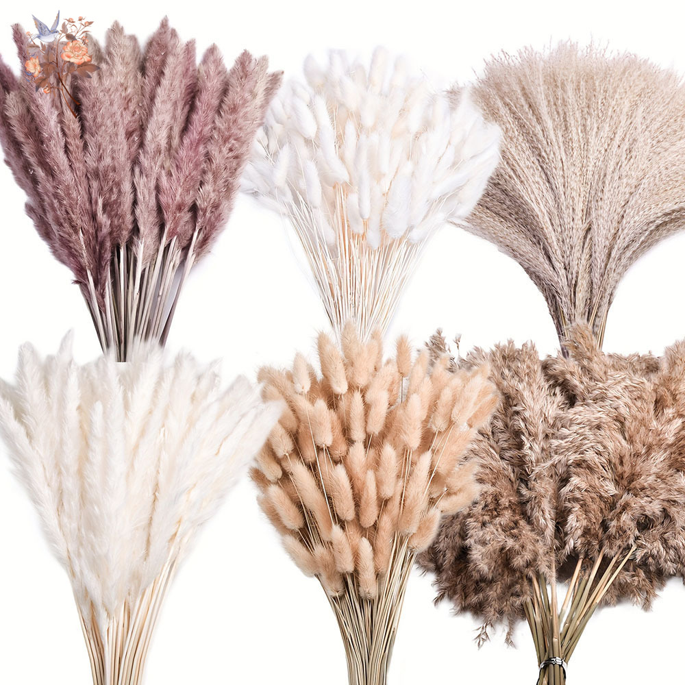 320 قطعة من زهور البامباس الكب - مراجعة Pampas Grass Decor وسعره