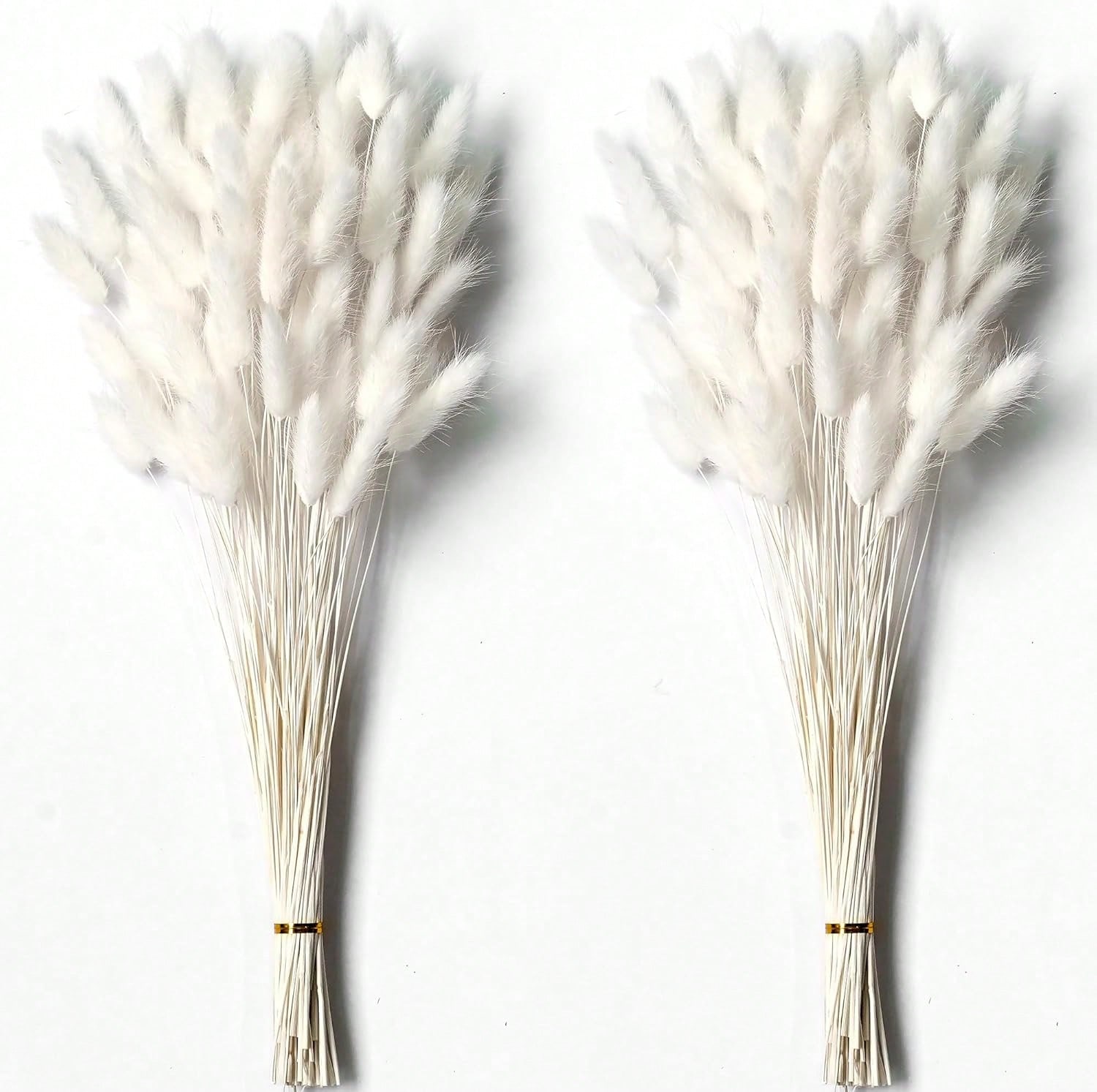 120 قطعة ديكور عشب بامباس المج - مراجعة Pampas Grass Decor وسعره